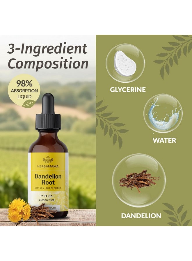 HERBAMAMA Dandelion Root Tincture - Vegan Dandelion Root Extract for Liver Detox and Cleanse - Non-GMO, Alcohol & Sugar-Free Liquid Liver Support Supplement, 28-Day Supply - Image 4
