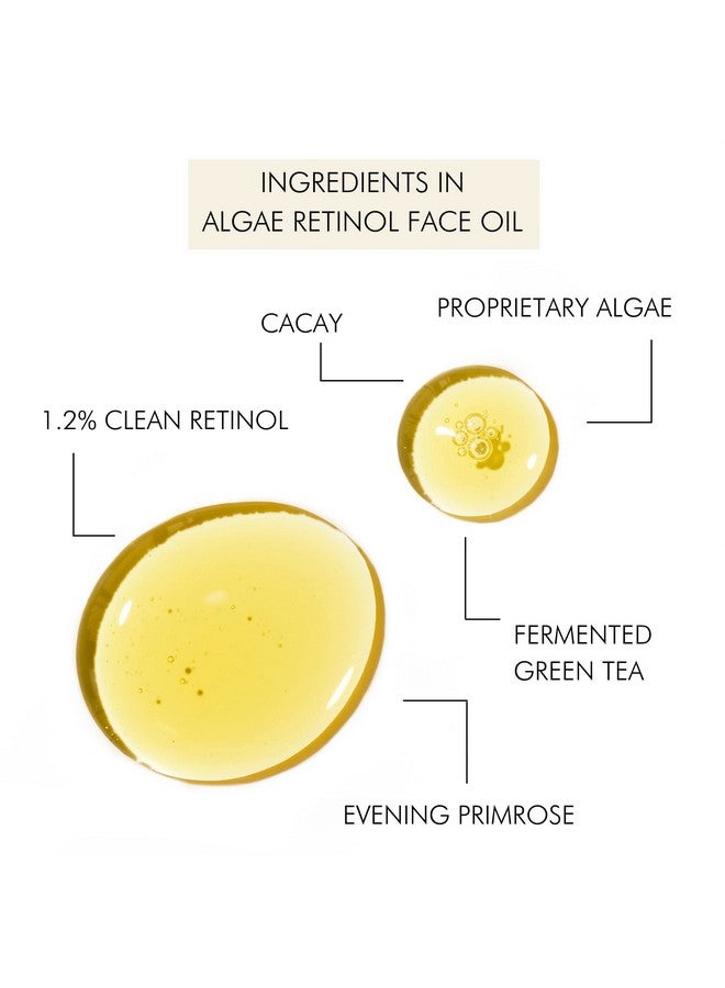 Mara Natural Evening Primrose + Green Tea Algae Retinol Face Oil Nontoxic Plantbased Skin Care Moisturizes + Soothes Skin To Minimizes Look Of Pores + Fine Lines (Full Size 1 Fl Oz 30 Ml) - Image 3