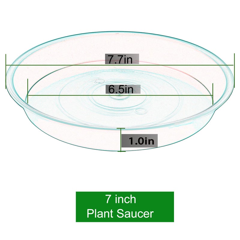 Bleuhome 6 Pack of 7 inch Plant Saucer, Heavy Duty Plastic Plant Water Tray 7 inch Round, Flower Plant Saucers for Indoors No Holes, Plant Dishes Saucer for Planter 7"/8" (7", Black) - Image 2