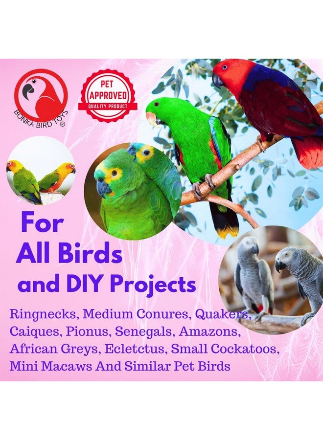 Bonka Bird Toys Bonka Bird Toys 3410 Pk6 Drilled Mahogany Pods Foot Talon Craft Part Parrot Toys, Amazon, African Greys, Eclectus, and Similar Breeds - Image 4