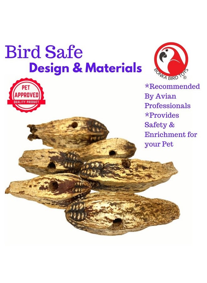 Bonka Bird Toys Bonka Bird Toys 3410 Pk6 Drilled Mahogany Pods Foot Talon Craft Part Parrot Toys, Amazon, African Greys, Eclectus, and Similar Breeds - Image 3