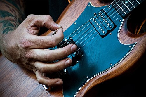 Snarling Dogs Brain TNSDB351 1.14 Guitar Picks, 12-Piece, Collectible Tin, Orange Nylon, 0 1.14mm - Image 2
