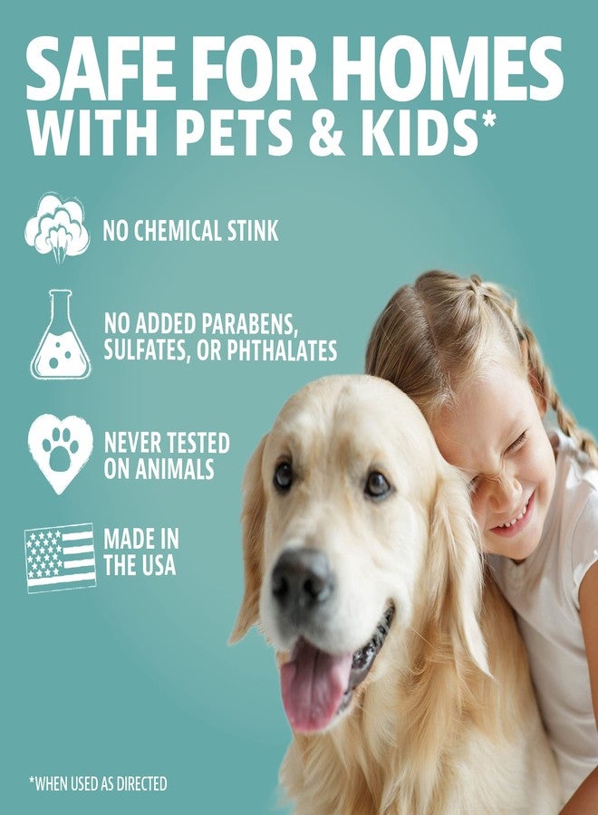 ANGRY ORANGE Pet Odor Eliminator Travel and Trial Size for Dog Urine - Citrus - 2 oz - Portable 2 Pack - Image 5