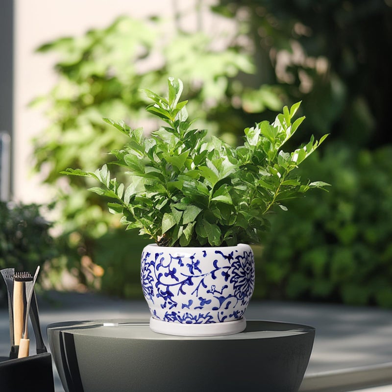 SQOWL 6 Inch Planter - Ceramic Plant Pots Indoor with Drainage Hole and Saucer, Round Ceramic Flower Pot Outdoor, Porcelain Decorative Planter, Backyard Decor, Gifts for Plant Lovers, Blue and White - Image 4