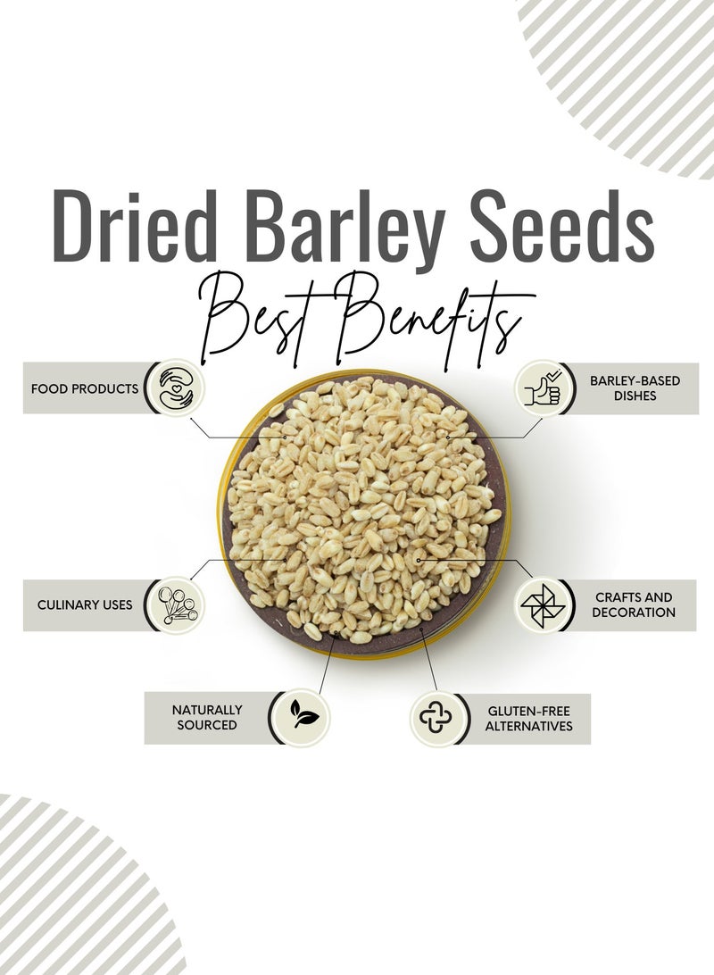Awafi Mill AWAFI MILL Dried Barley Seeds | Premium Quality Whole Barley for Culinary and Multipurpose Use - Image 3