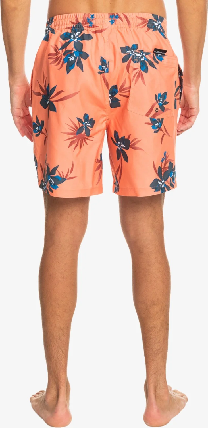 كويك سيلفر Everyday Mix 17 Men's Volley Short
 EQYJV04002