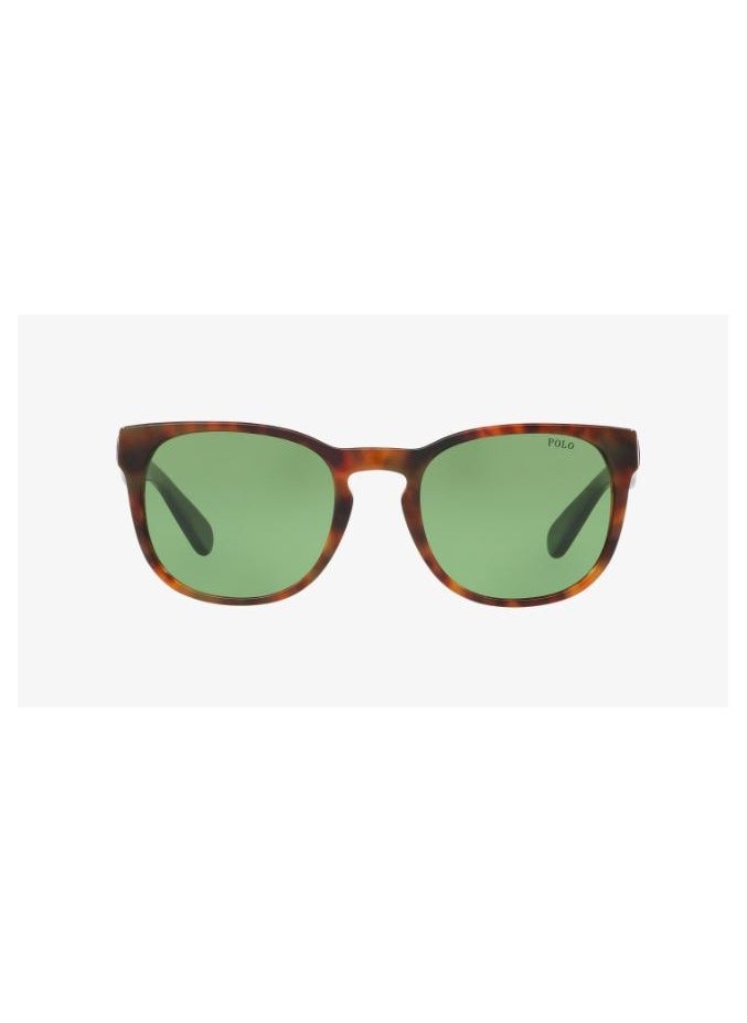 POLO RALPH LAUREN - Polo Ralph Lauren SUNGLASS PH4099 56742 SIZE 52 TORTOISE FRAME WITH  GREEN LENS UNISEX - Image 1
