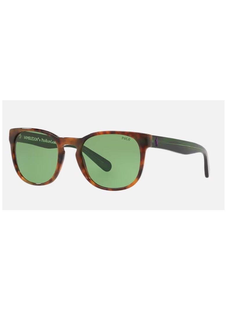 POLO RALPH LAUREN - Polo Ralph Lauren SUNGLASS PH4099 56742 SIZE 52 TORTOISE FRAME WITH  GREEN LENS UNISEX - Image 1