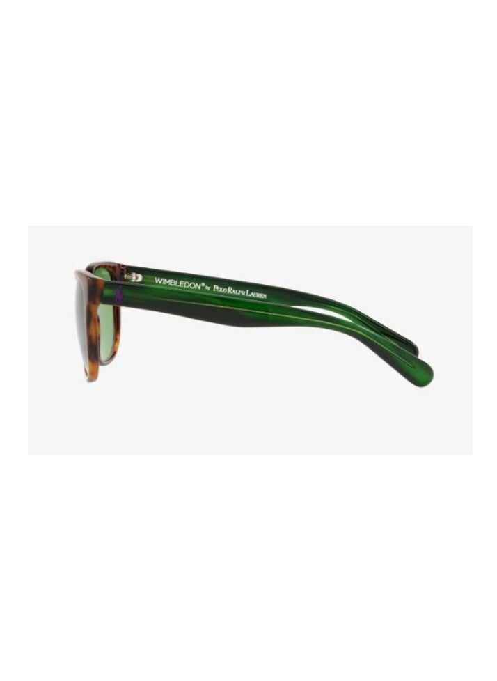 POLO RALPH LAUREN - Polo Ralph Lauren SUNGLASS PH4099 56742 SIZE 52 TORTOISE FRAME WITH  GREEN LENS UNISEX - Image 1