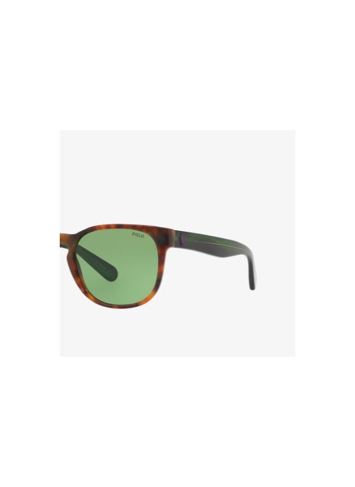 POLO RALPH LAUREN - Polo Ralph Lauren SUNGLASS PH4099 56742 SIZE 52 TORTOISE FRAME WITH  GREEN LENS UNISEX - Image 1