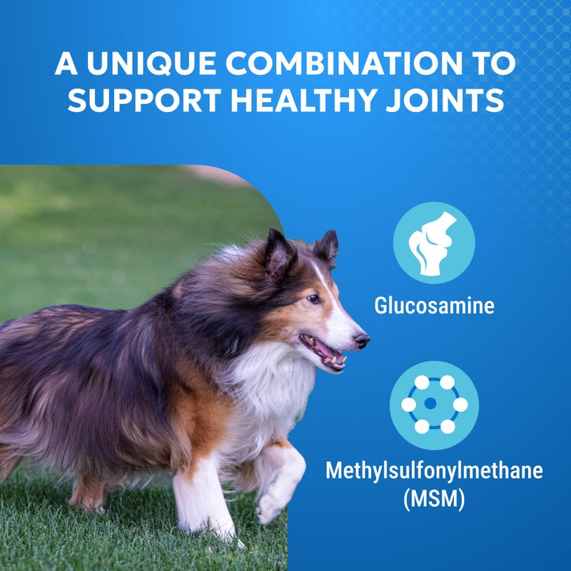 Nutramax Laboratories Nutramax Cosequin Elements Dogs Joint Health Supplement, Contains Glucosamine for Dogs, MSM, Supports Healthy Joints, For All Breeds and Sizes, Chewable Tablets, 75 Count - Image 3