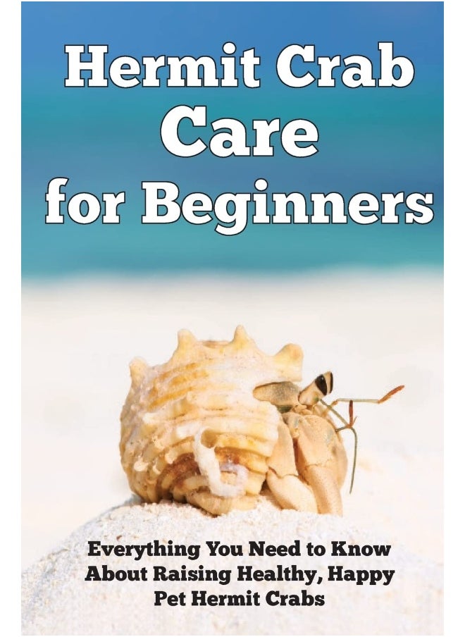 null - Hermit Crab Care for Beginners: Everything You Need to Know About Raising Healthy, Happy Pet Hermit Crabs. - Image 1