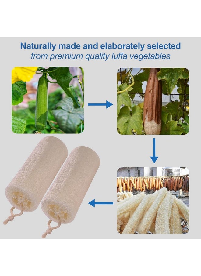 GigaGround - Organic Natural Loofah Sponge (2 Pack) Large 6“ Natural Loofah Exfoliating Body Scrubber Egyptian Loofa Eco Friendly 100% All Natural Luffa Cleaning For Deep Clean Skin Care Bath Spa Shower Men Women - Image 1