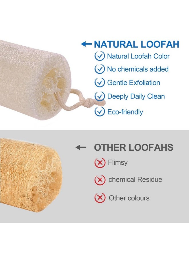 GigaGround - Organic Natural Loofah Sponge (2 Pack) Large 6“ Natural Loofah Exfoliating Body Scrubber Egyptian Loofa Eco Friendly 100% All Natural Luffa Cleaning For Deep Clean Skin Care Bath Spa Shower Men Women - Image 1