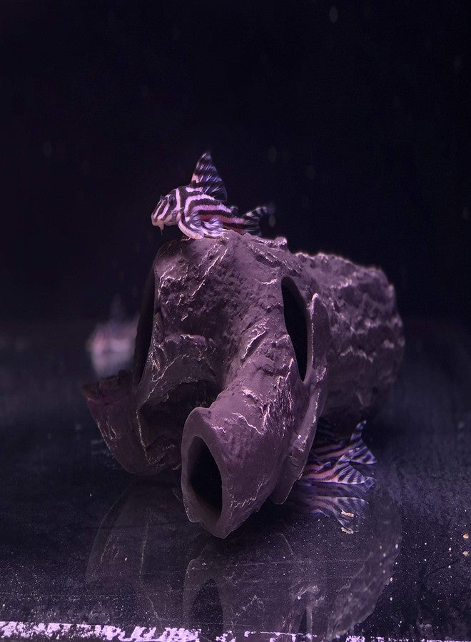 Plecoceramics ديكورات سيراميكية لأحواض السمك من Plecoceramics، كهف بيتا، ديكور حجري - ديكور مخبأ لحوض أسماك الزينة، مناسب لتربية أسماك السيكلد، ألعاب بليكو بيتا، مخبأ (Snag) - Image 5