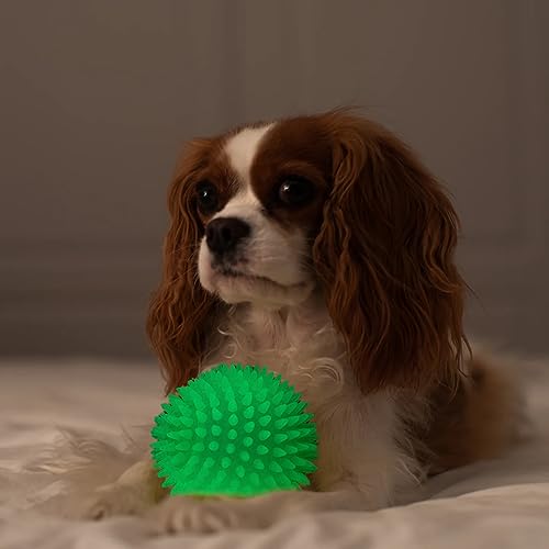 Agirav Tail Dog Toys + Dog Chew Toys + Puppy Teething Toys + Rope Dog Toy + Dog Toys for Small to Medium Dog Toys + Dog Toy Pack + Tug Toy + Dog Toy Set + Washable Cotton Rope for Dogs(Pack of 7) - Image 4