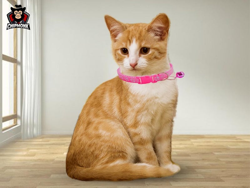 CHIPMONK Paw Cat Collar with Bell,Kitten and Small Dogs Soft Adjustable Collar,Safe,Breakaway for Cats and Puppies - Dark Pink - Image 5