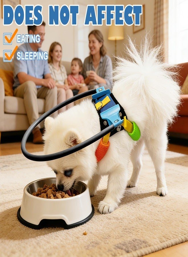 LetPetRun Protective Blind Dog Halo Collar, Adjustable Blind Dog Halo with Protective Ring, Lightweight Safety Collar Navigation Assistance for Visually Impaired Pets (15-19in) - Image 5