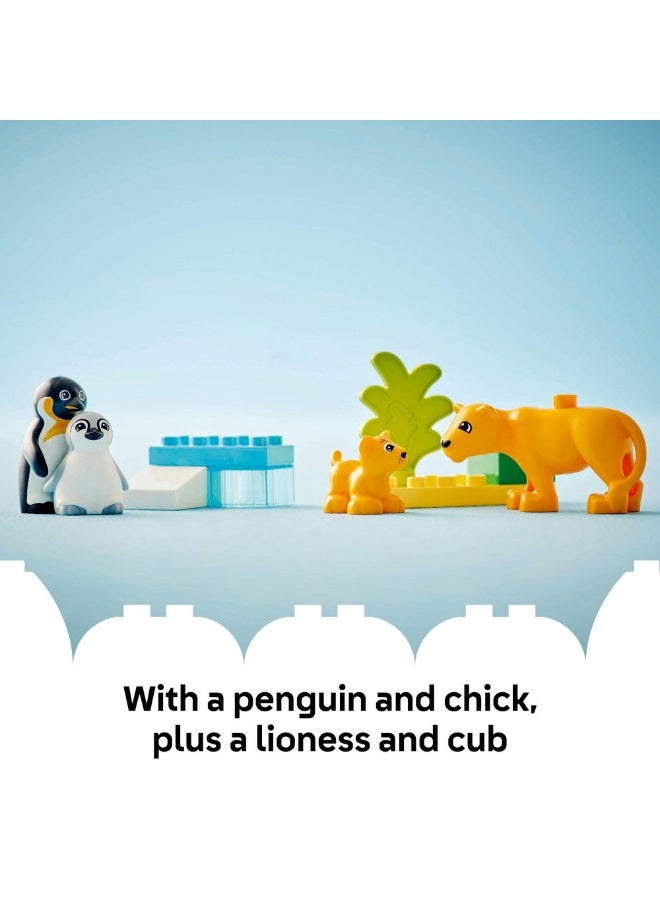 Duplo Town Wild Animal Families: Penguins & Lions 10442 (10) Pieces