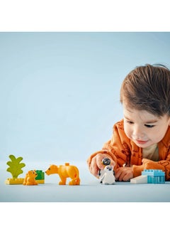 LEGO DUPLO Wild Animal Families: Penguins & Lions Educational Montessori Toy for 2 Plus Year Old Girls & Boys, Construction Set Sparks Creative Play and Helps Develop Fine Motor Skills 10442 (10 pieces)  - Image 3
