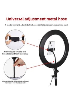 General 36cm Mobile Phone Live Fill Light Bracket Ring Light Beauty Light Led Fill Light Bracket Anchor Light Selfie Light-Color:36cm Metal Live Lamp With Clip  - Image 3