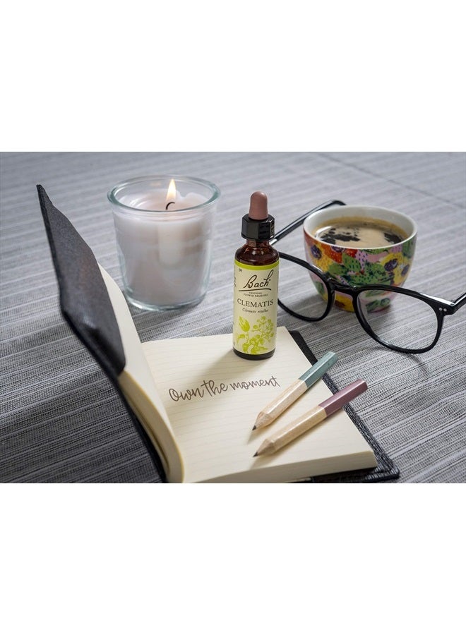 Bach Original Flower Remedy Chestnut Bud 20 ml - Image 3