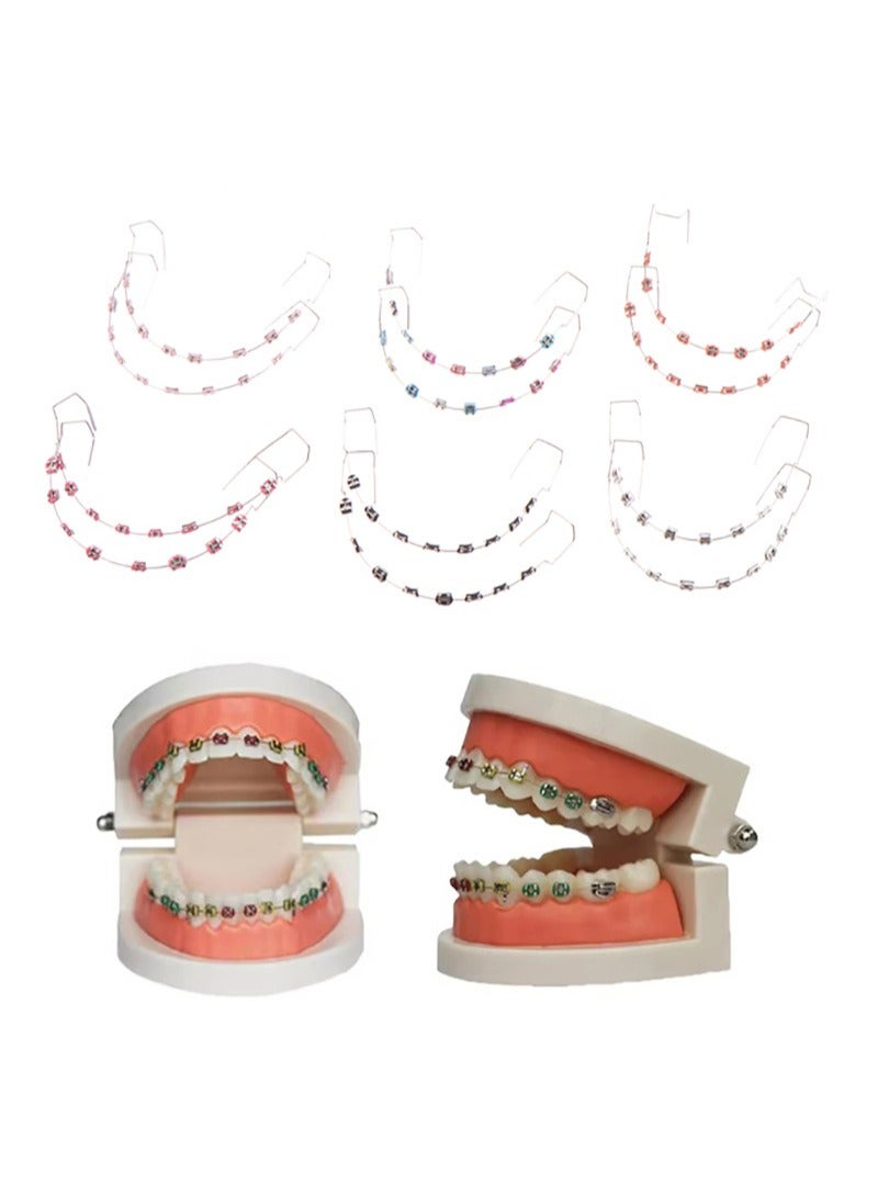 HaLunhi Temporary Dental Decorations With Metal Wires，Metal Brackets And Orthodontic Ligatures，Props For Orthodontists To Explain，Props for Dental Students to Practice （White）  - Image 4