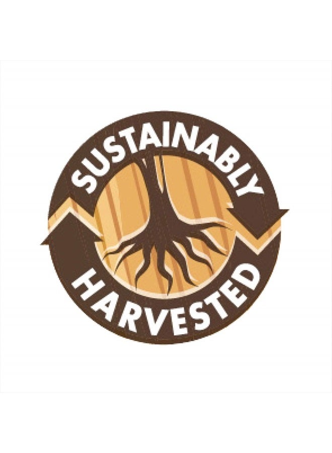 Bluebonnet نوتريشن برين باور – مزيج نووتروبيك قائم على الطعام الكامل - لصحة الدماغ* - باكوبا، فطر ليوز مان، توت أزرق والمزيد - غير معدّل وراثيًا، نباتي - خالي من الغلوتين، الصويا والمنبهات - 60 كبسولة نباتية - Image 5