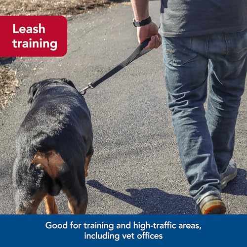Coastal Pet Double-Ply Dog Traffic Leash - Durable and Short Traffic Leash for Training Dogs - Perfect for Vet Visit - Black, 1" x 24" - Image 4