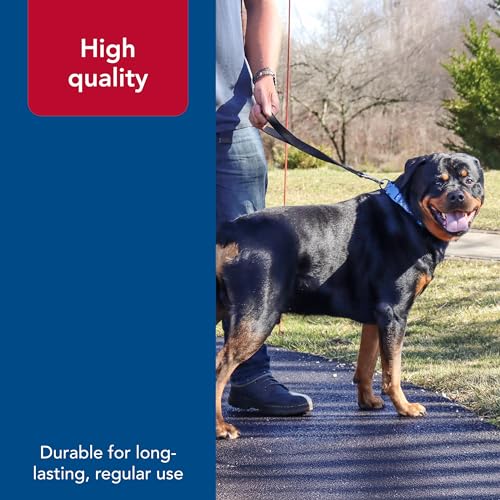 Coastal Pet Double-Ply Dog Traffic Leash - Durable and Short Traffic Leash for Training Dogs - Perfect for Vet Visit - Black, 1" x 24" - Image 5