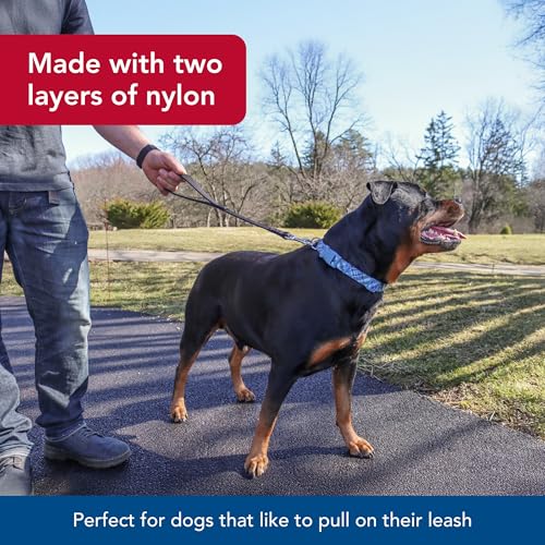 Coastal Pet Double-Ply Dog Traffic Leash - Durable and Short Traffic Leash for Training Dogs - Perfect for Vet Visit - Black, 1" x 24" - Image 3