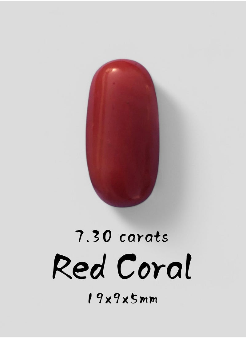 Natural Red Coral - 7.30 carats - 19x9x5mm - pzsku/Z6F88AE7CAF8F2222133BZ/45/_/1738830748/1053511a-db51-4a88-b4e9-9330c18dda6c