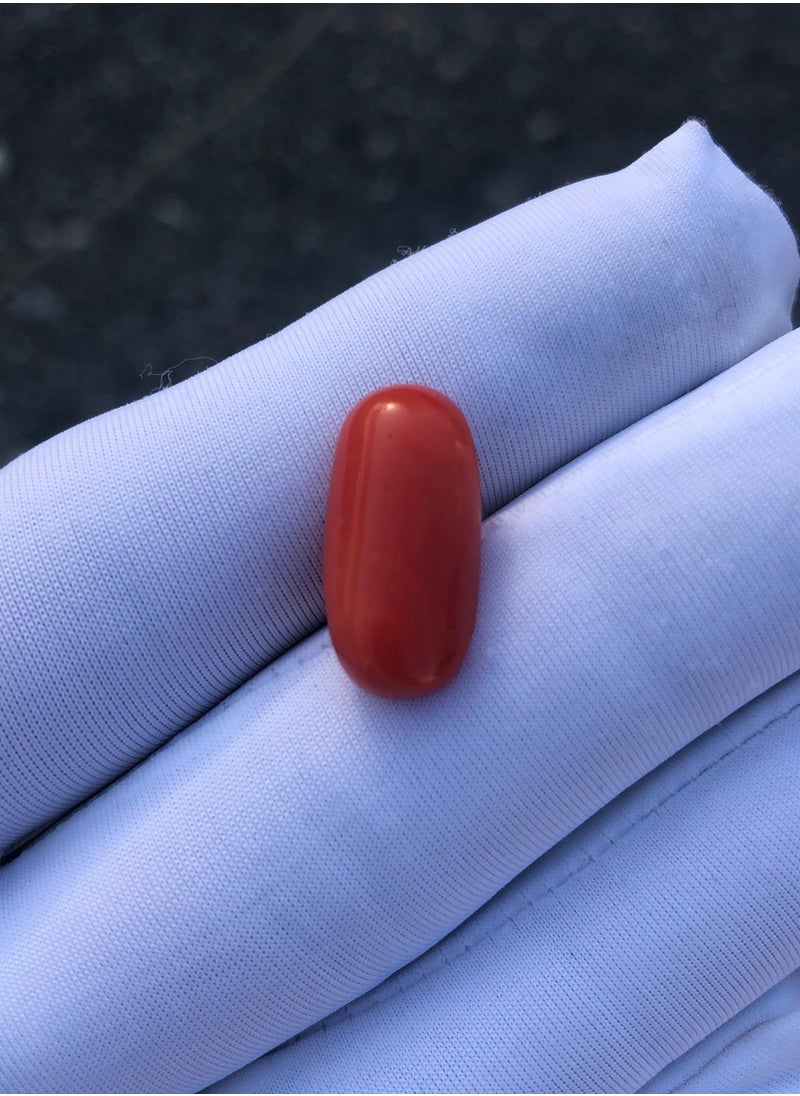 Natural Red Coral - 7.30 carats - 19x9x5mm - pzsku/Z6F88AE7CAF8F2222133BZ/45/_/1738830789/b2061b85-3b67-4405-9b5e-d145cd3a8f07