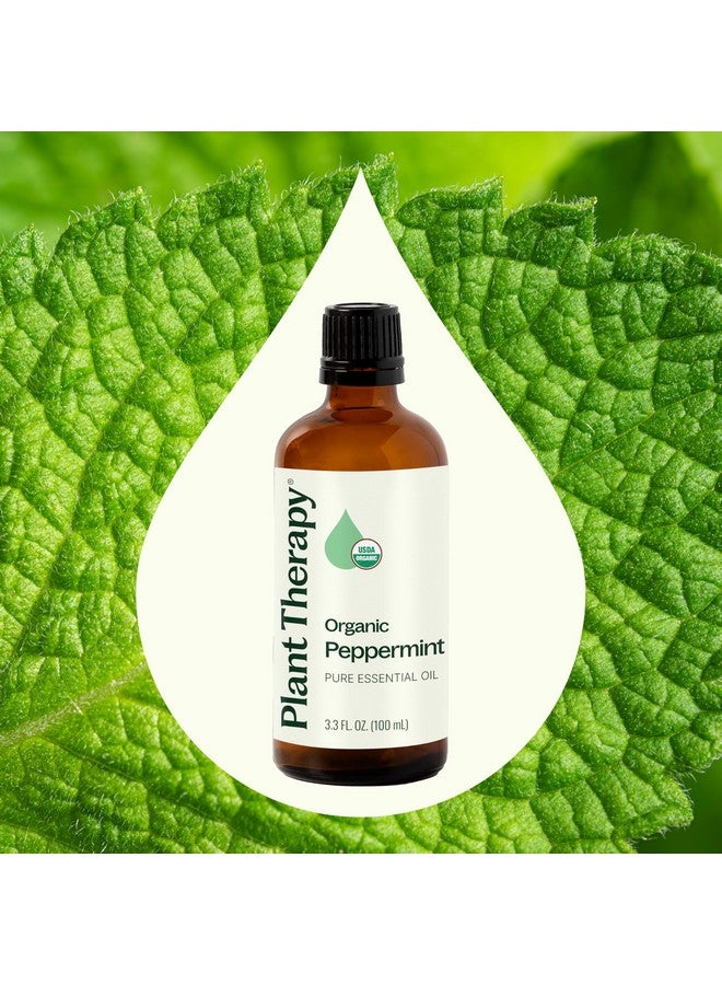 Plant Therapy Organic Peppermint Essential Oil 100% Pure, USDA Certified Organic, Undiluted, Natural Aromatherapy, for Diffusion, Skin, Hair, Therapeutic Grade 100 mL (3.3 oz) - Image 3