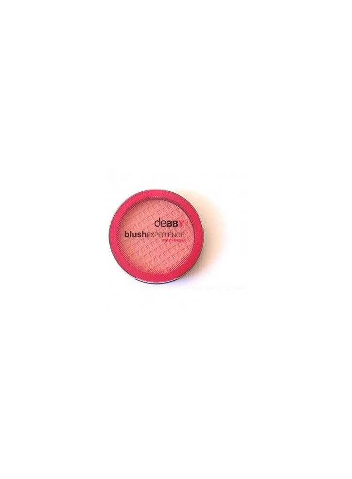 DEBBY BLUSHEXPERIENCE mat finish 1