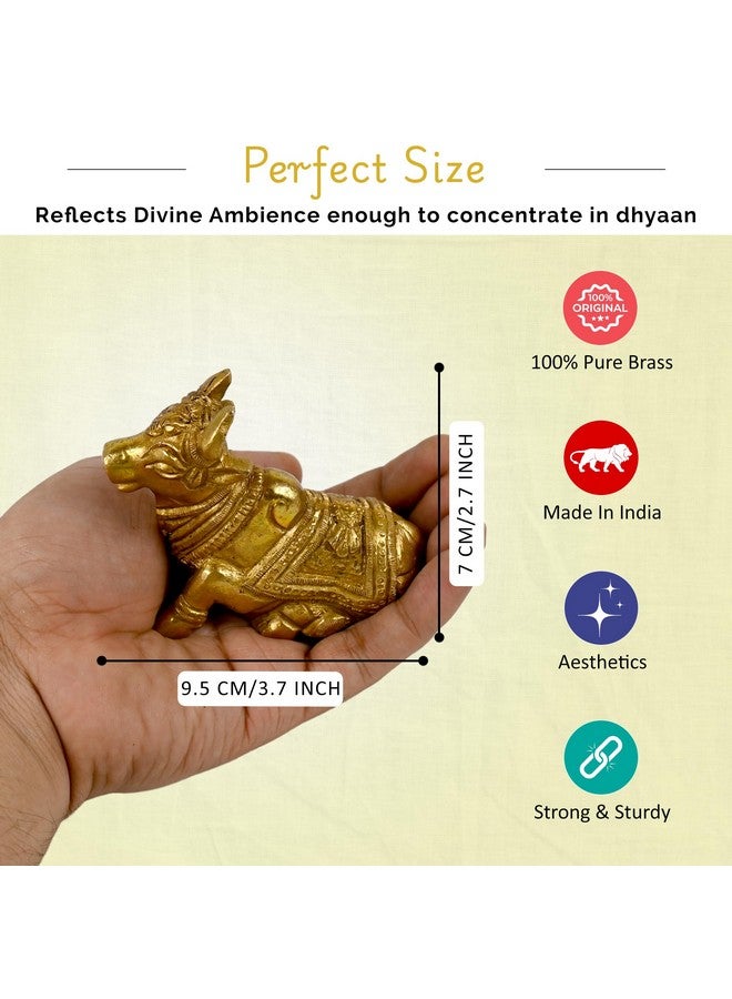 CRAFTHUT Brass Nandi Bull Idol - Shiva's Sacred Vehicle Statue for Home Temple, Pooja Room & Spiritual Decor - 8.89x3.81x6.35Cm, 480gm. - Image 4