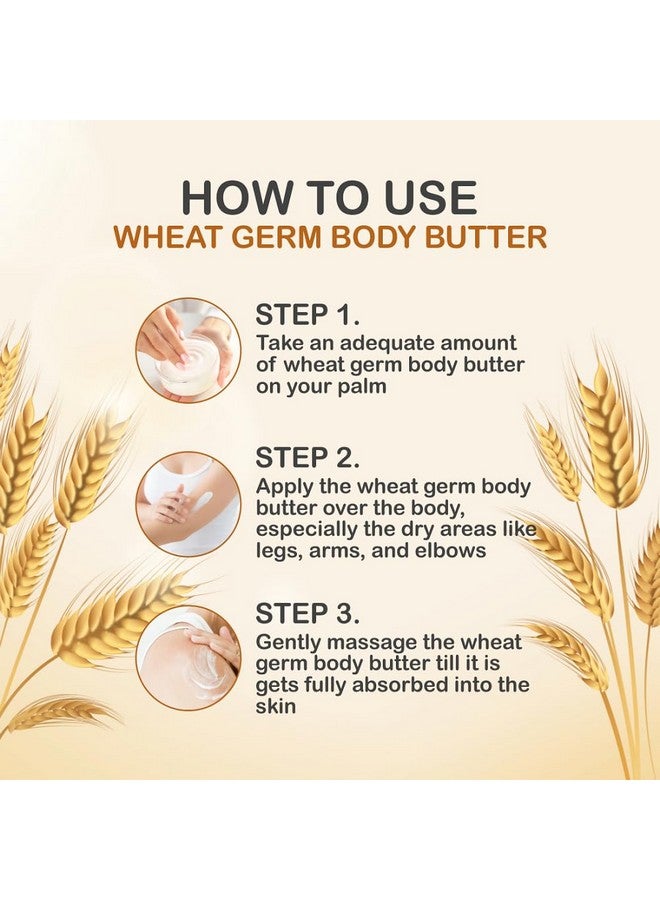Nuerma Science Wheatgerm Body Butter Enriched With Vitamin E Oil, Shea Butter, Coconut Oil, Aloe Vera - 200 Gm Deep Moisturizing For Dry Skin & All Day Moisture Lock - Image 4