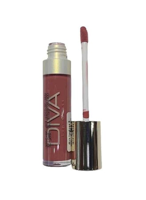 DIVA LIP GLOSS NO 06