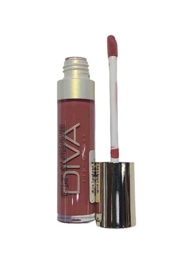 DIVA LIP GLOSS NO 06