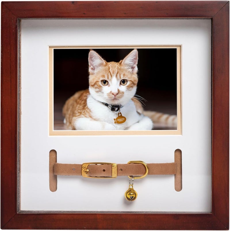 pearhead pet collar keepsake picture frame, pet owner holiday christmas gift, espresso - Image 1
