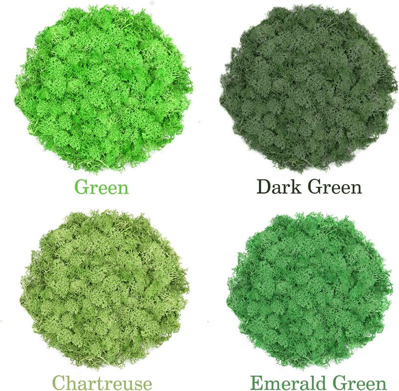 TCYPUHL 4 Colors 14 OZ Reindeer Moss, Preserved Moss for Plants, Moss Decor, Green Moss for Crafts(Green, Dark Green, Chartreuse and Emerald Green, Each Color Weights 3.5 OZ) - Image 2