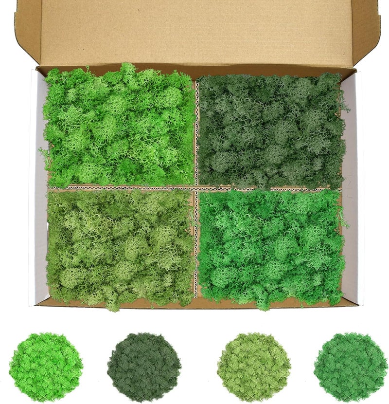 TCYPUHL 4 Colors 14 OZ Reindeer Moss, Preserved Moss for Plants, Moss Decor, Green Moss for Crafts(Green, Dark Green, Chartreuse and Emerald Green, Each Color Weights 3.5 OZ) - Image 1