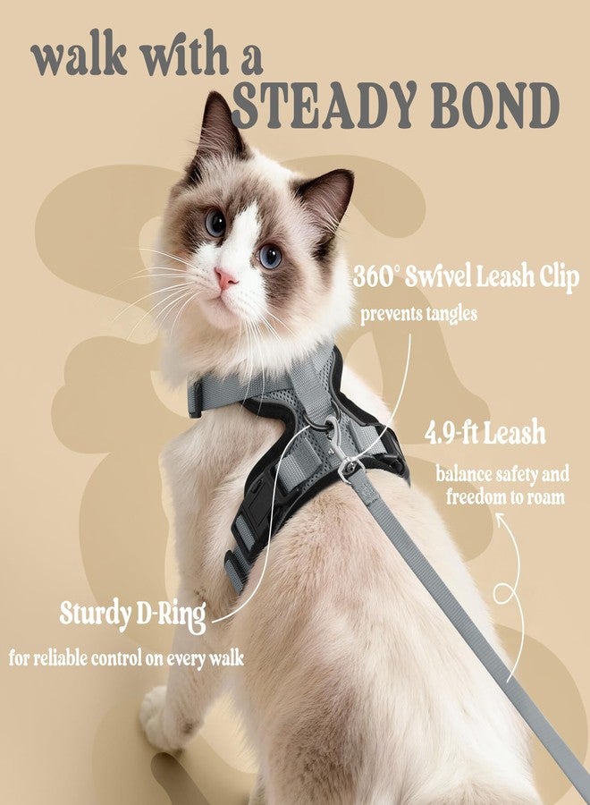 رابيتجو طقم سرج ومقود للقطط من رابيت جو، سترة ناعمة قابلة للتعديل مانعة للهروب، سهلة التحكم، مزودة بشرائط عاكسة للضوء، رمادي، مقاس XS - Image 5