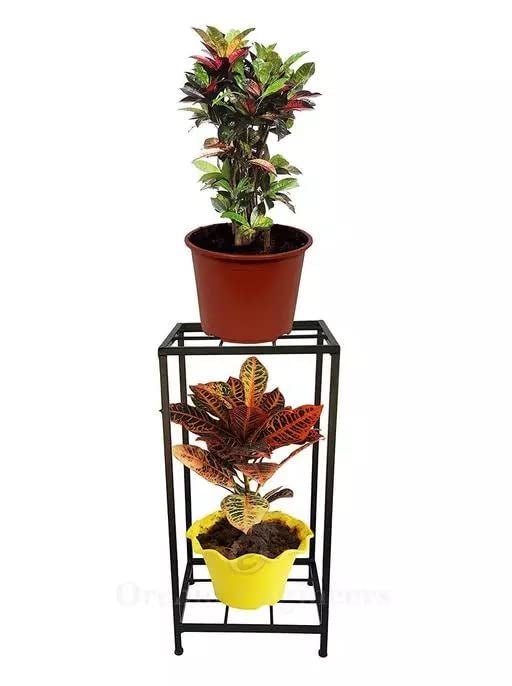 Milad SAIFIX Dispenser Stand Water Bottle Holder Plant Stand Storage Rack(30 L x 30 W x 62 H in CMs, Black Color) - Image 2