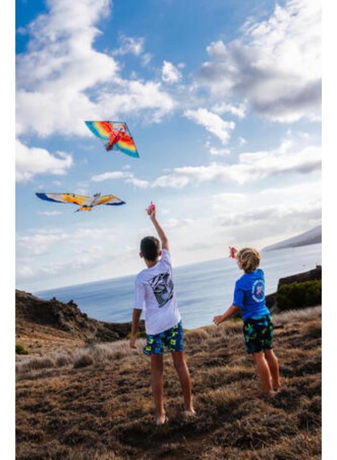 ترايبورد طائرة ورقية ثابتة برسمة طائر للأطفال - Image 2