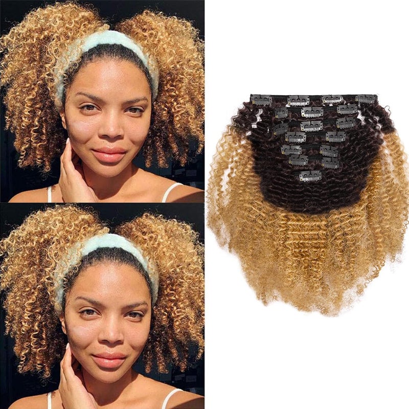 Caliee Afro Kinky Curly Clip in Hair Extensions Remy Brazilian Human Hair 4A 4B for African American Black Women Two Tone T1B27 Brown Blonde 12 Inch120 Gram