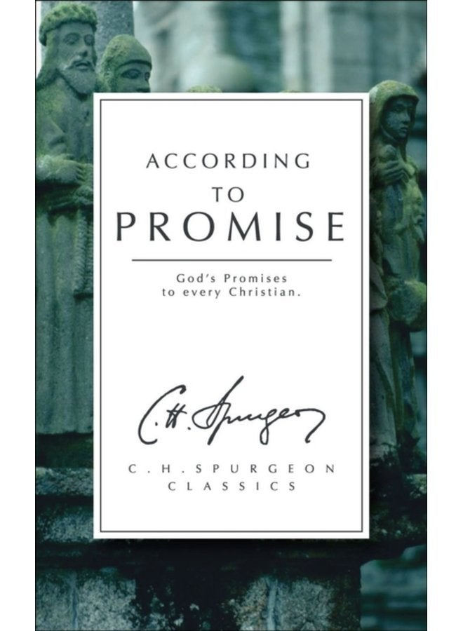 According to Promise God s Promises to Every Christian - Paperback