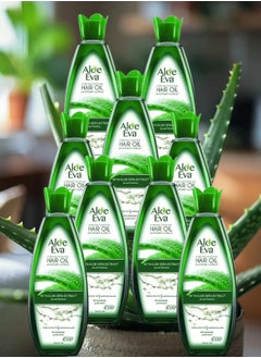 Aloe Eva 9 Pieces Aloe Eva Hair Oil 170ML  - Image 1