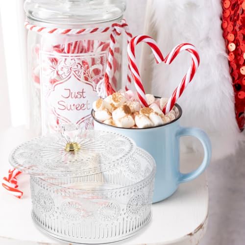 HOLIDYOYO Apothecary Jar with Lid Embossed Plastic Candy Cookie Bowl with Lid Decorative Jewelry Organizer Box for Home Party - Image 5