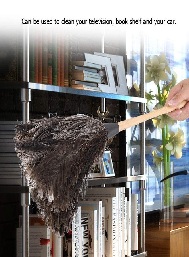 Fdit Handmade Washable Non-electrostatic Ostrich Duster with Wooden Handle Household - Image 3